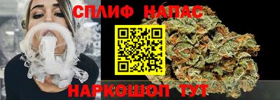 дживик Тверь