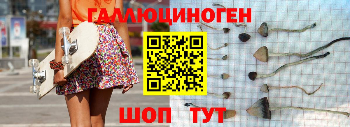 Псилоцибиновые грибы Psilocybe Острогожск