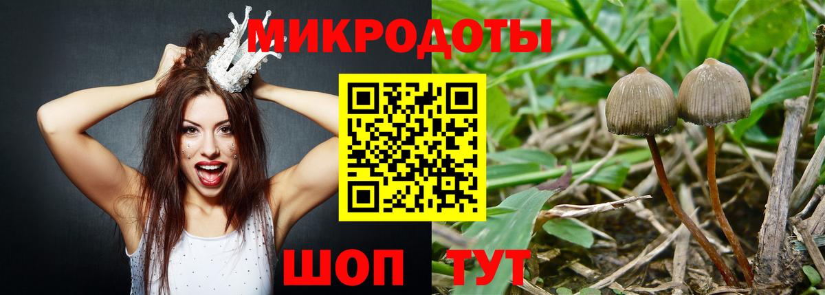 Острогожск  Псилоцибиновые грибы Magic Shrooms  Вход с VPN 