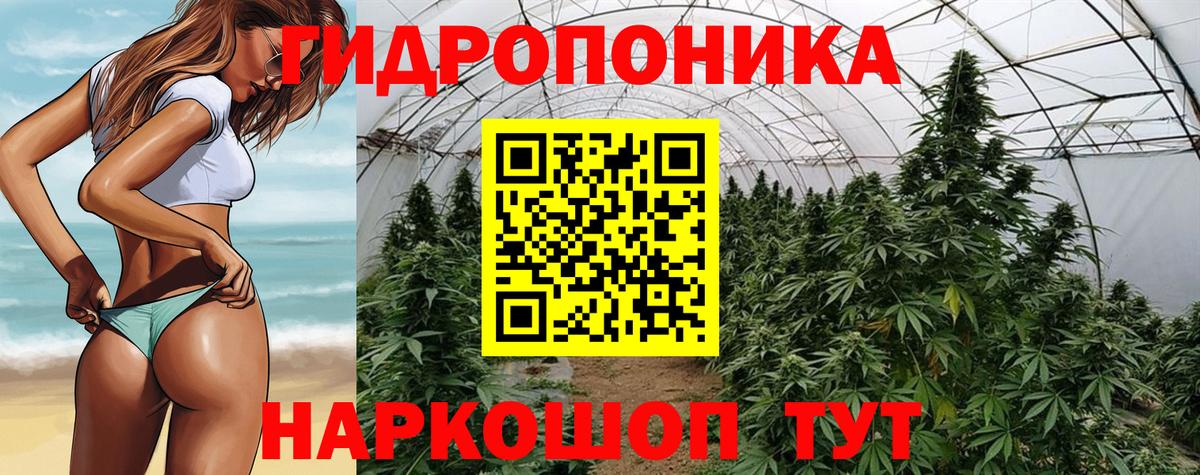 Канабис марихуана  Конопля планчик  Вход с VPN  Марихуана White Widow  Острогожск 